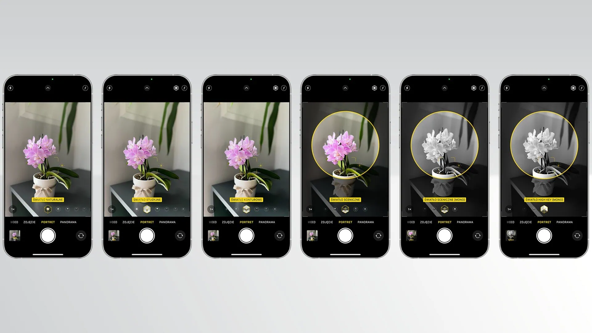 Tryb portretowy - sekrety pięknych portretów