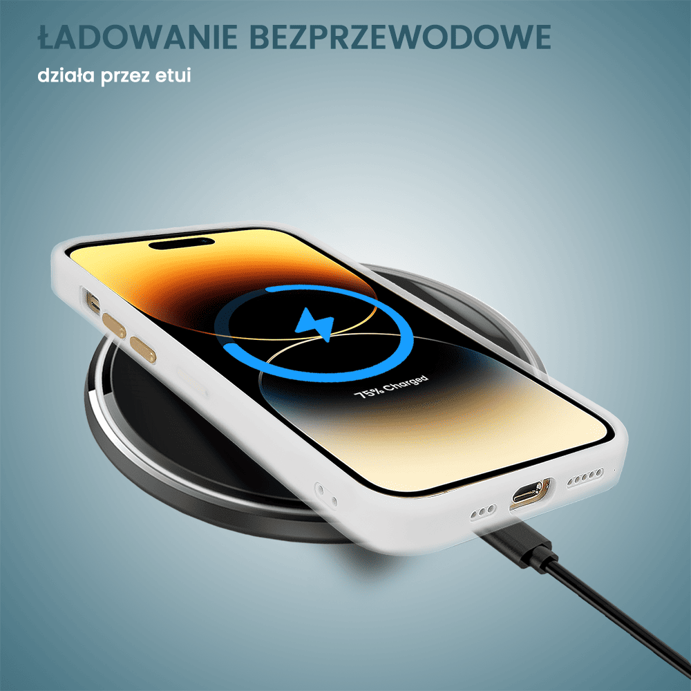 Etui do iPhone 14 Pro Max Gold Crown Protective Matte z MagSafe, półprzeźroczyste matowe, złote