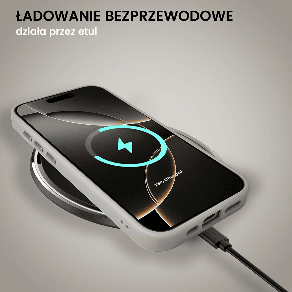 Etui do iPhone 16 Pro Color Flush z Magsafe, z osłoną aparatu, tytanowe