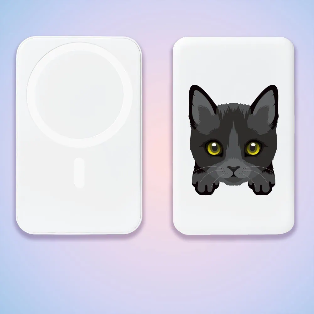 Power bank Magsafe 5000mAh ładowanie bezprzewodowe iPhone 16/15/14/13/12, kot bombajski, biały