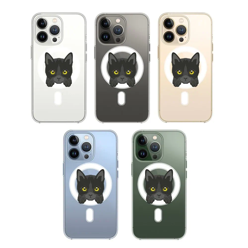 Etui do iPhone 13 Pro Max, twardy tył, kot bombajski, przeźroczyste